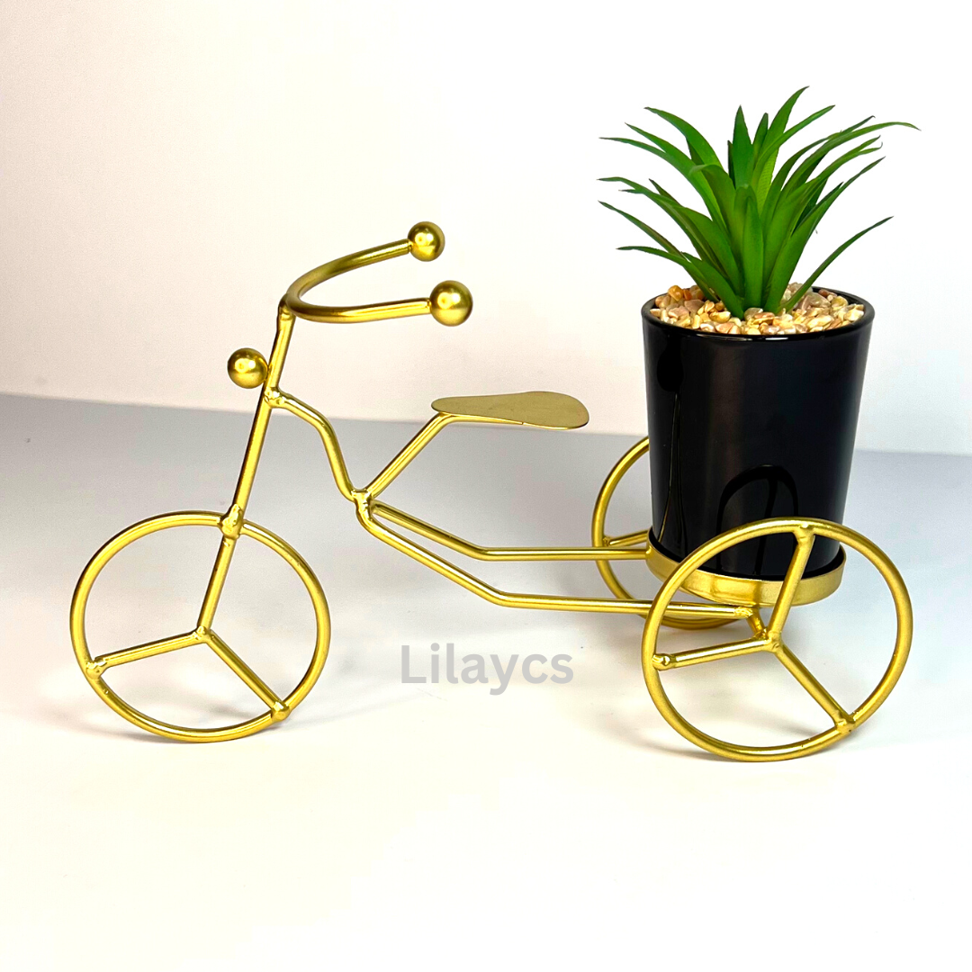 Metal Frame Gilded Tricycle with Ceramic Plant Pot Home Decor