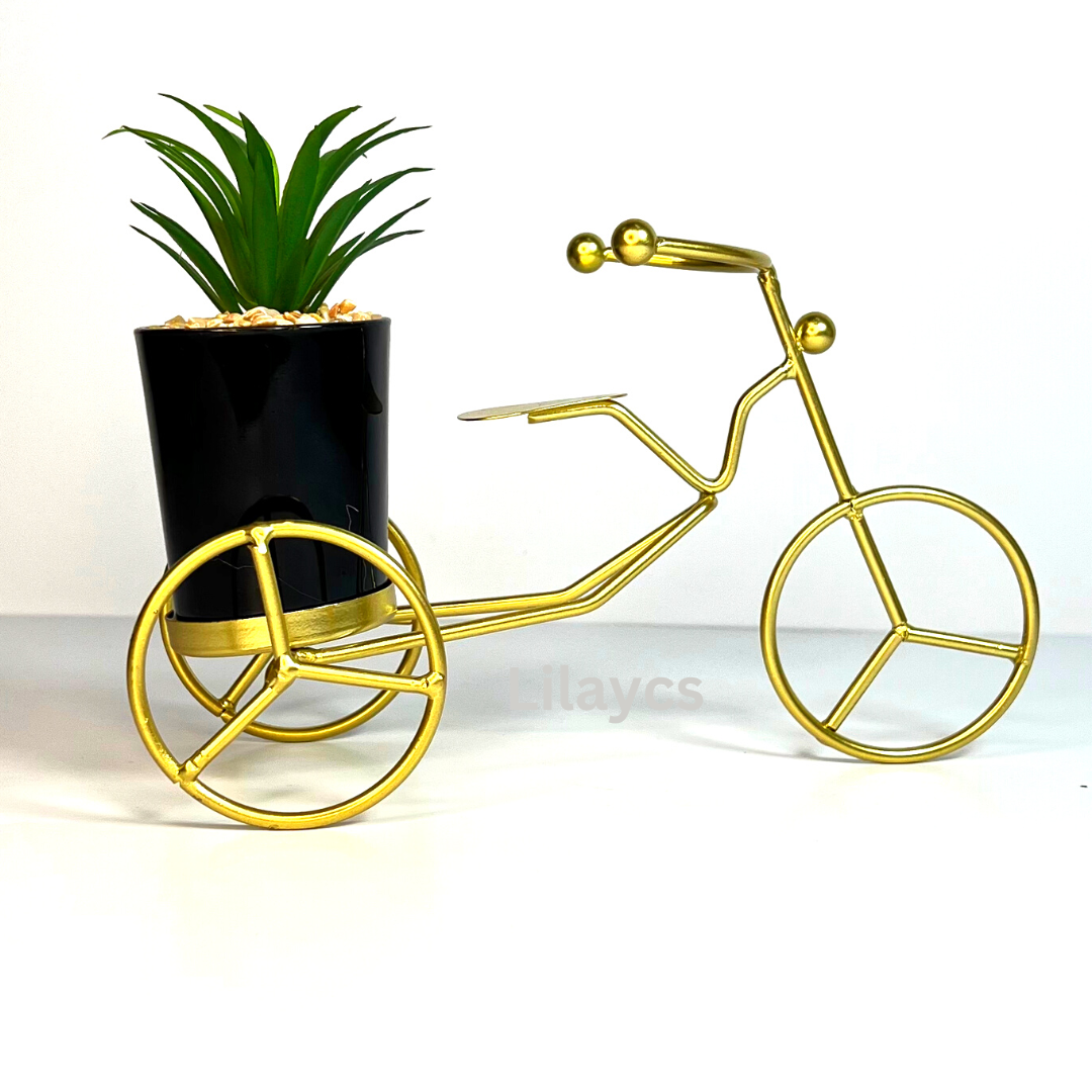 Metal Frame Gilded Tricycle with Ceramic Plant Pot Home Decor