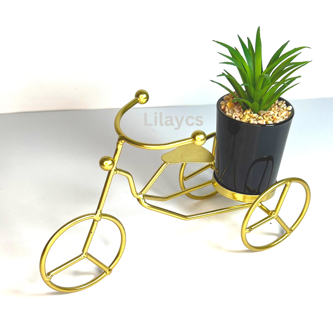 Metal Frame Gilded Tricycle with Ceramic Plant Pot Home Decor