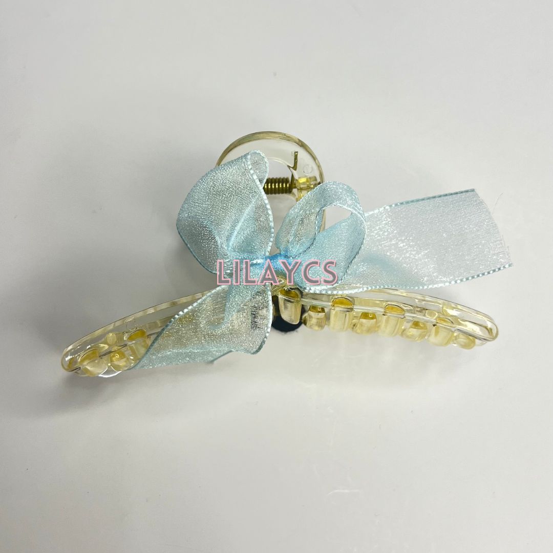 Stylish Fancy Hair Catcher for young lady - 1 pcs